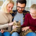 猫の態度でわかる『家族の順位づけ』…3つの行動の違いを徹底解説！
