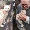 火事で家が全焼した猫とおじいさん。途方に暮れる中で起こった奇跡的…