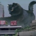 【コラ映画猫】アウル・キティのゴジラならぬ「キャッジラ」が大暴れ！