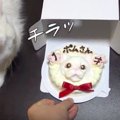 超リアルな猫ちゃん用の誕生日ケーキ！果たして反応は？