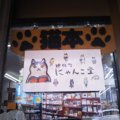 神保町にある猫本専門「にゃんこ堂」！猫好き店主さんが開いた猫本だ…