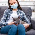 風邪やインフルエンザのとき猫と接しても大丈夫？