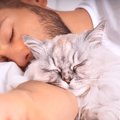 猫が『顔の近くで寝てくれる』ときのキモチ2選　枕を取られて困るとき…