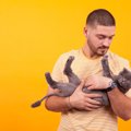 猫を『抱っこ』する時に起こりやすいトラブル5つ