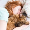 愛猫が『眠る位置』でキモチがわかる！5つのパターン別に解説　あなた…