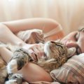 猫に『一緒に寝たいと思わせる人』の特徴4選！「好き」以外に必要なこ…
