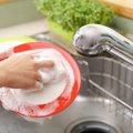 猫のお皿がぬるぬるする！ぬめりの原因と洗い方