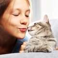 猫が鼻キスをする意味やその時の注意点