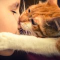 子猫が『甘噛み』する5つの理由と対処法