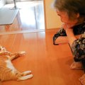 『猫と93歳おばあちゃん』の不思議な関係に心温まる…小さい時からの記…