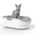 7月発売！SHARPのスマホと連動した猫のトイレ『ペットケアモニター』