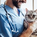 猫が動物病院嫌いにならないための4つの方法
