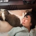 猫が『睡眠中の飼い主の枕』を奪った結果……最高に幸せな結末に50万人…