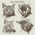 猫のリアルなイラスト7選！写真みたいに描く方法