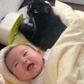 猫が赤ちゃんと『添い寝』した結果…最高の表情を見せる様子が尊すぎると37…