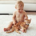 猫が『人間の赤ちゃん』にとる優しい行動3選！同居する際に注意すべき…