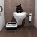 猫トイレの最適な場所とは？設置する時のポイント