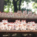 豪徳寺の招き猫の値段や大きさ、購入方法