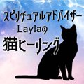 Laylaの猫コラム スピリチュアルでみる猫ちゃんの癒し方とは？