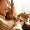 猫を『ストレス』から守る方法5つ
