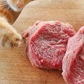 猫にラム肉を食べさせても大丈夫？食べた時の効果やレシピまで