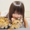 噛みつきベンガル猫はお姉ちゃん気取りの妹分に優しくできる？→検証し…