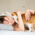 猫が飼い主を『起こしたい』時にする4つの行動と対策