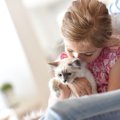 猫パスツレラ菌感染症の症状と予防法