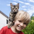 猫と子供が仲良くなるための3つの方法　猫は子供が嫌いって本当？