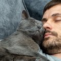 猫と『一緒に寝るとキケン』なケース3つ　理由と注意すべきこと
