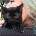 山林から子猫の鳴き声！保護された黒猫に『水頭症』の疑いが…