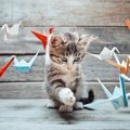 猫のキャラクターグッズ10選！かわいい、おしゃれな物大特集！