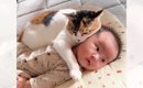『この子は絶対に離さないニャ』猫が赤ちゃんを大好きになったら…尊す…