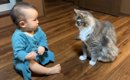 猫が『元気のない赤ちゃん』に近づいたら…まさかの表情の変化がほっこ…