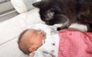 猫が初めて『人間の赤ちゃん』を見たら…心温まる反応に"ほっこり…