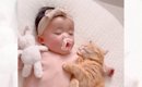 猫と赤ちゃんが仲良しになった結果…少しでも触れていたいと『寄り添っ…