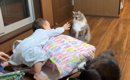 猫と赤ちゃんが『布団の取り合い』をした結果…「まるでアニメ」「ニヤ…