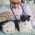 猫の『寄生虫予防』の必要性について獣医師が解説