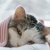 【獣医師が解説】寒い時期に増える猫の体調不良　代表的な病気と対策について