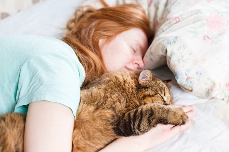猫が一緒に寝たいと思う飼い主6つの特徴