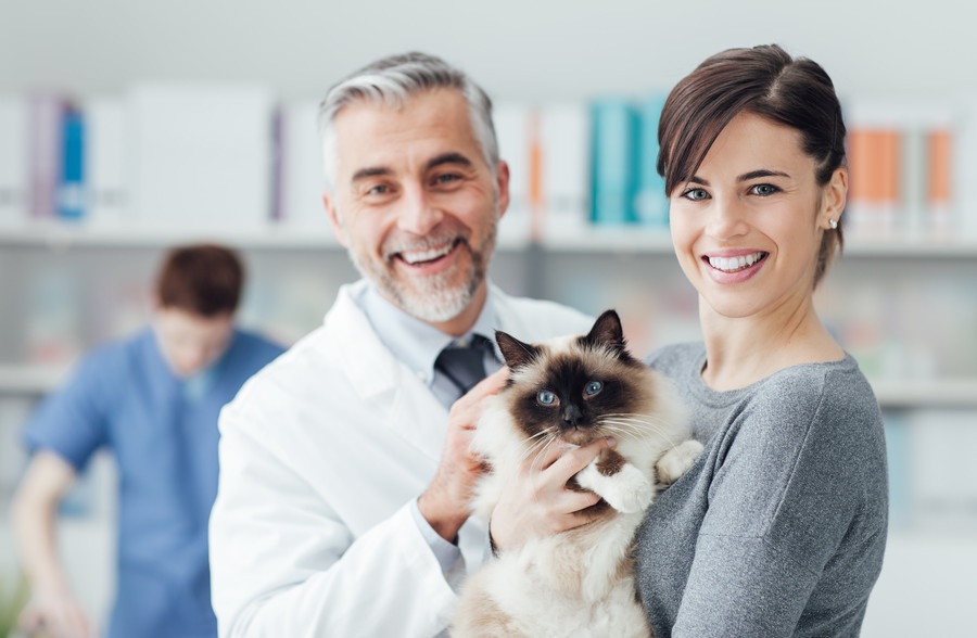 備えあれば憂いなし！「猫のための家庭の医学」の内容とは？