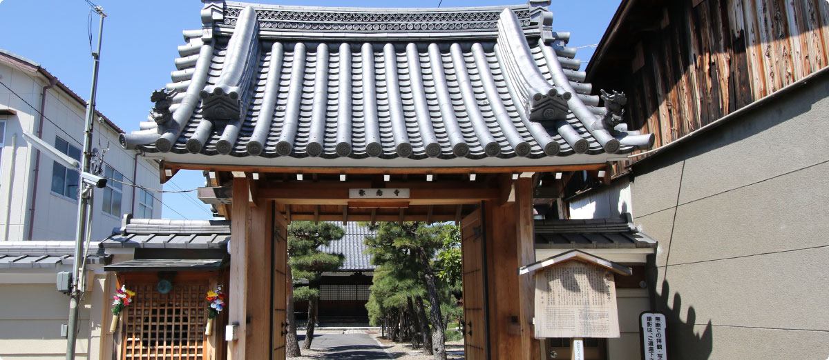 京都の猫スポット6選！神社や野良猫と触れ合える所