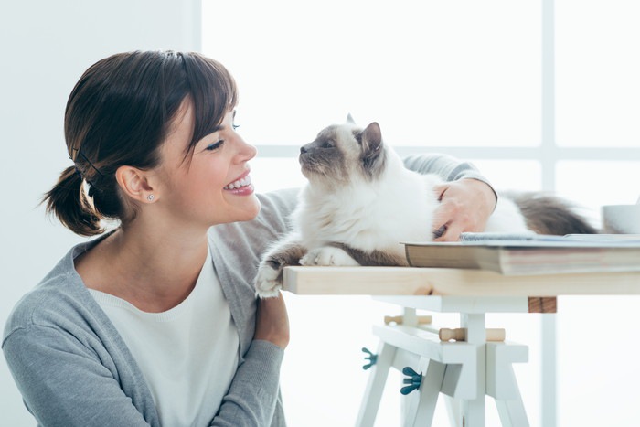 猫とコミュニケーションを取って仲良くなる5つの方法
