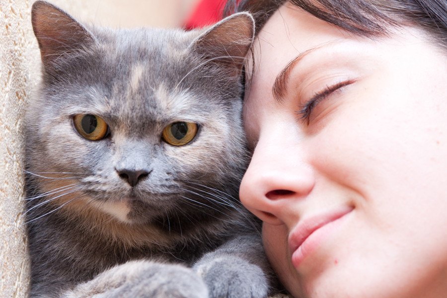 猫からイヤな臭いがする原因６つ！対策できる６つの事
