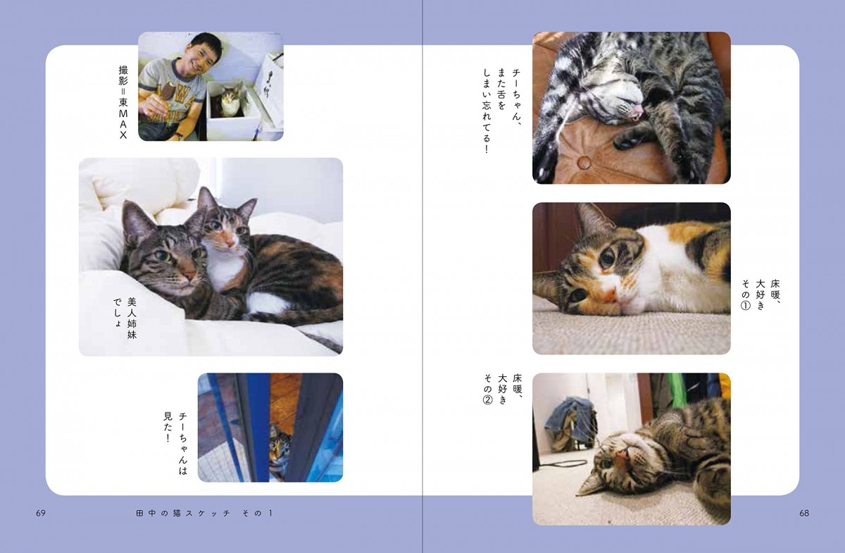 田中裕二（爆笑問題）さんの猫はどんな子？種類や愛情のかけ方