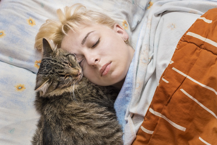 猫が飼い主と一緒に寝たい時にする5つの仕草