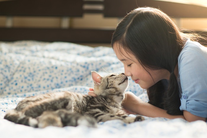 猫とコミュニケーションを取って仲良くなる5つの方法