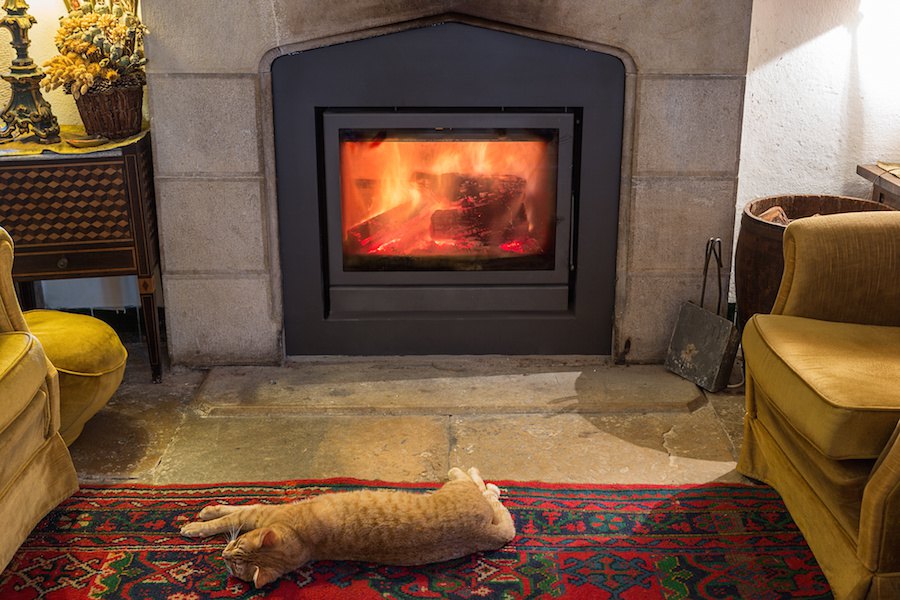 寒い冬の時期は要注意！猫が暮らしやすいお部屋作りの方法8選