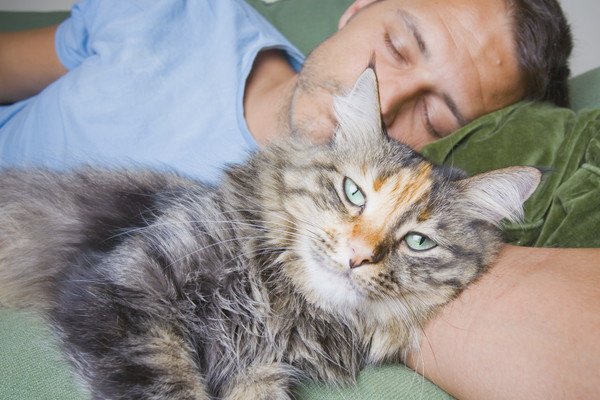 猫が飼い主さんと同じ格好で寝る４つの心理