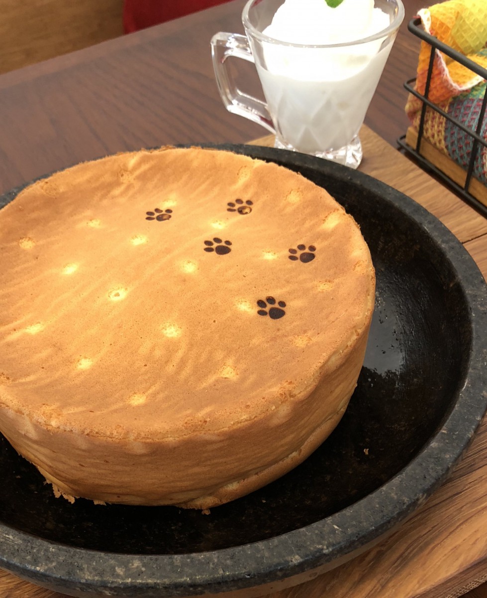 素敵♡京都の猫カフェ「石焼cafe＆cat 蔵之助のしっぽ」！